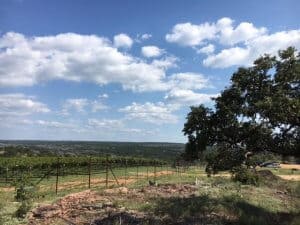 texas wines torr na loch texas hill country 