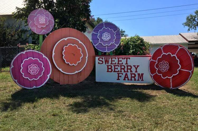sweet berry farm burnet texas family activities texas hill country